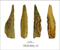 Cronica Cercetărilor Arheologice din România, Campania 2016. Raportul nr. 109.<br /> Sectorul 2-Industria-materiilor-dure-animale.