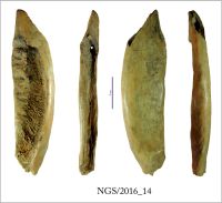 Cronica Cercetărilor Arheologice din România, Campania 2016. Raportul nr. 109.<br /> Sectorul 2-Industria-materiilor-dure-animale.