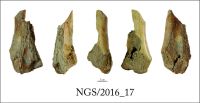 Cronica Cercetărilor Arheologice din România, Campania 2016. Raportul nr. 109.<br /> Sectorul 2-Industria-materiilor-dure-animale.
