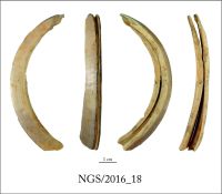 Cronica Cercetărilor Arheologice din România, Campania 2016. Raportul nr. 109.<br /> Sectorul 2-Industria-materiilor-dure-animale.