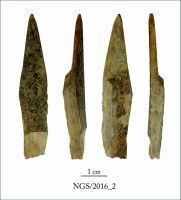 Cronica Cercetărilor Arheologice din România, Campania 2016. Raportul nr. 109.<br /> Sectorul 2-Industria-materiilor-dure-animale.