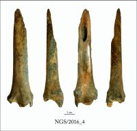 Cronica Cercetărilor Arheologice din România, Campania 2016. Raportul nr. 109.<br /> Sectorul 2-Industria-materiilor-dure-animale.