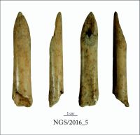 Cronica Cercetărilor Arheologice din România, Campania 2016. Raportul nr. 109.<br /> Sectorul 2-Industria-materiilor-dure-animale.