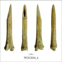 Cronica Cercetărilor Arheologice din România, Campania 2016. Raportul nr. 109.<br /> Sectorul 2-Industria-materiilor-dure-animale.