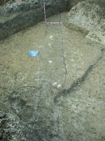 Cronica Cercetărilor Arheologice din România, Campania 2016. Raportul nr. 112