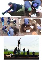 Cronica Cercetărilor Arheologice din România, Campania 2016. Raportul nr. 113