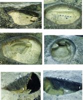 Cronica Cercetărilor Arheologice din România, Campania 2016. Raportul nr. 118