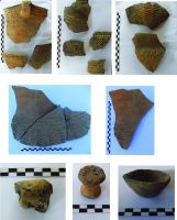 Cronica Cercetărilor Arheologice din România, Campania 2016. Raportul nr. 118