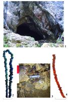 Cronica Cercetărilor Arheologice din România, Campania 2017. Raportul nr. 11