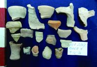 Cronica Cercetărilor Arheologice din România, Campania 2017. Raportul nr. 20