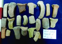 Cronica Cercetărilor Arheologice din România, Campania 2017. Raportul nr. 20