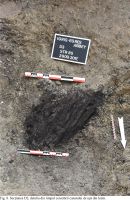 Cronica Cercetărilor Arheologice din România, Campania 2017. Raportul nr. 23