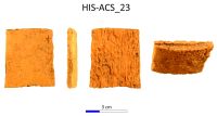 Cronica Cercetărilor Arheologice din România, Campania 2017. Raportul nr. 28.<br /> Sectorul IMDA-Histria-Acropola-Centru-Sud\HIS-ACS-IMDA-Figuri.