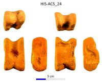 Cronica Cercetărilor Arheologice din România, Campania 2017. Raportul nr. 28.<br /> Sectorul IMDA-Histria-Acropola-Centru-Sud\HIS-ACS-IMDA-Figuri.