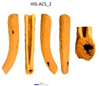 Cronica Cercetărilor Arheologice din România, Campania 2017. Raportul nr. 28.<br /> Sectorul IMDA-Histria-Acropola-Centru-Sud\HIS-ACS-IMDA-Figuri.