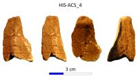 Cronica Cercetărilor Arheologice din România, Campania 2017. Raportul nr. 28.<br /> Sectorul IMDA-Histria-Acropola-Centru-Sud\HIS-ACS-IMDA-Figuri.