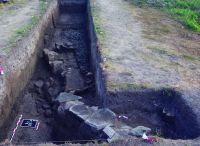 Cronica Cercetărilor Arheologice din România, Campania 2017. Raportul nr. 30