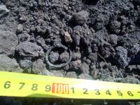 Cronica Cercetărilor Arheologice din România, Campania 2017. Raportul nr. 55