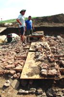 Cronica Cercetărilor Arheologice din România, Campania 2017. Raportul nr. 58