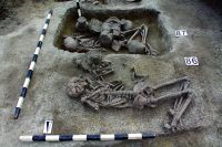 Cronica Cercetărilor Arheologice din România, Campania 2017. Raportul nr. 70