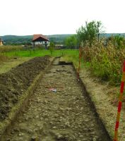 Cronica Cercetărilor Arheologice din România, Campania 2017. Raportul nr. 71