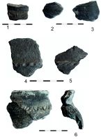 Cronica Cercetărilor Arheologice din România, Campania 2017. Raportul nr. 92
