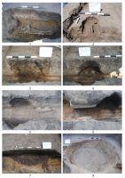 Cronica Cercetărilor Arheologice din România, Campania 2017. Raportul nr. 95