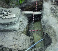 Cronica Cercetărilor Arheologice din România, Campania 2017. Raportul nr. 104