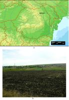 Cronica Cercetărilor Arheologice din România, Campania 2017. Raportul nr. 105