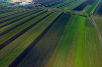 Cronica Cercetărilor Arheologice din România, Campania 2017. Raportul nr. 113