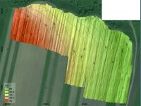 Cronica Cercetărilor Arheologice din România, Campania 2017. Raportul nr. 113