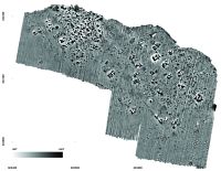 Cronica Cercetărilor Arheologice din România, Campania 2017. Raportul nr. 113