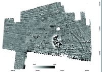 Cronica Cercetărilor Arheologice din România, Campania 2017. Raportul nr. 120