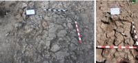 Cronica Cercetărilor Arheologice din România, Campania 2017. Raportul nr. 201<br /><font color='red'>Notă!</font> Numărul de ordine atribuit acestui raport este convențional, întrucât raportul nu a fost publicat în volumul tipărit.