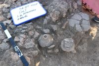 Cronica Cercetărilor Arheologice din România, Campania 2017. Raportul nr. 201<br /><font color='red'>Notă!</font> Numărul de ordine atribuit acestui raport este convențional, întrucât raportul nu a fost publicat în volumul tipărit.