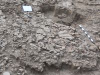 Cronica Cercetărilor Arheologice din România, Campania 2017. Raportul nr. 201<br /><font color='red'>Notă!</font> Numărul de ordine atribuit acestui raport este convențional, întrucât raportul nu a fost publicat în volumul tipărit.