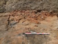 Cronica Cercetărilor Arheologice din România, Campania 2017. Raportul nr. 202<br /><font color='red'>Notă!</font> Numărul de ordine atribuit acestui raport este convențional, întrucât raportul nu a fost publicat în volumul tipărit.