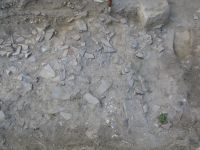 Cronica Cercetărilor Arheologice din România, Campania 2017. Raportul nr. 209<br /><font color='red'>Notă!</font> Numărul de ordine atribuit acestui raport este convențional, întrucât raportul nu a fost publicat în volumul tipărit.