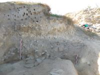 Cronica Cercetărilor Arheologice din România, Campania 2017. Raportul nr. 215<br /><font color='red'>Notă!</font> Numărul de ordine atribuit acestui raport este convențional, întrucât raportul nu a fost publicat în volumul tipărit.