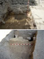 Cronica Cercetărilor Arheologice din România, Campania 2017. Raportul nr. 222<br /><font color='red'>Notă!</font> Numărul de ordine atribuit acestui raport este convențional, întrucât raportul nu a fost publicat în volumul tipărit.