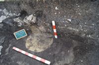Cronica Cercetărilor Arheologice din România, Campania 2017. Raportul nr. 223<br /><font color='red'>Notă!</font> Numărul de ordine atribuit acestui raport este convențional, întrucât raportul nu a fost publicat în volumul tipărit.