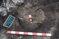 Cronica Cercetărilor Arheologice din România, Campania 2017. Raportul nr. 223<br /><font color='red'>Notă!</font> Numărul de ordine atribuit acestui raport este convențional, întrucât raportul nu a fost publicat în volumul tipărit.