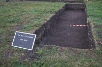 Cronica Cercetărilor Arheologice din România, Campania 2017. Raportul nr. 223<br /><font color='red'>Notă!</font> Numărul de ordine atribuit acestui raport este convențional, întrucât raportul nu a fost publicat în volumul tipărit.