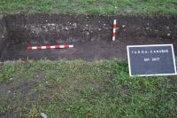 Cronica Cercetărilor Arheologice din România, Campania 2017. Raportul nr. 223<br /><font color='red'>Notă!</font> Numărul de ordine atribuit acestui raport este convențional, întrucât raportul nu a fost publicat în volumul tipărit.