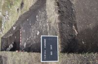 Cronica Cercetărilor Arheologice din România, Campania 2017. Raportul nr. 223<br /><font color='red'>Notă!</font> Numărul de ordine atribuit acestui raport este convențional, întrucât raportul nu a fost publicat în volumul tipărit.