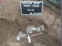 Cronica Cercetărilor Arheologice din România, Campania 2018. Raportul nr. 2.<br /> Sectorul Apulum-2019\Ilustratie.