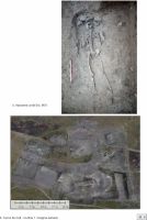 Cronica Cercetărilor Arheologice din România, Campania 2018. Raportul nr. 29