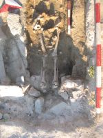 Cronica Cercetărilor Arheologice din România, Campania 2018. Raportul nr. 34