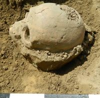 Cronica Cercetărilor Arheologice din România, Campania 2018. Raportul nr. 82.<br /> Sectorul 3-sectorul-X-necropola-medio-bizantina.