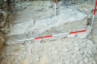 Cronica Cercetărilor Arheologice din România, Campania 2018. Raportul nr. 86